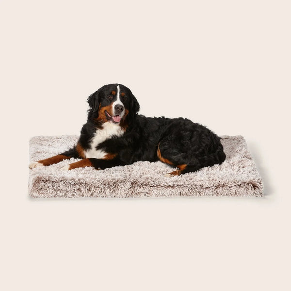 Calming Ortho Dog Bed, Mink, Large- Snooza