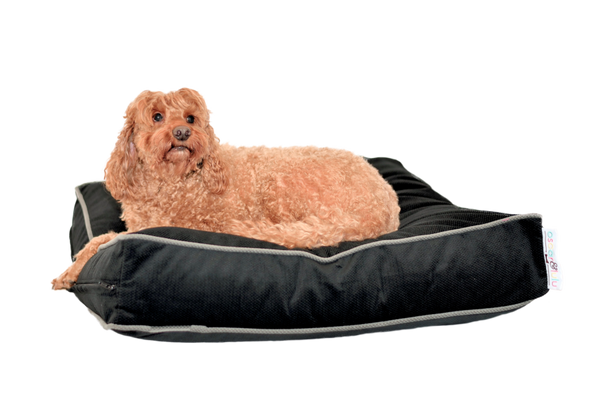 Oliver Designer Dog Bed – Indoor/Outdoor, Stylish & Hard-Wearing – S, M, L