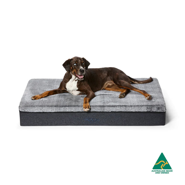 Big Dog Bed – Chinchilla XL (BIG) - Snooza