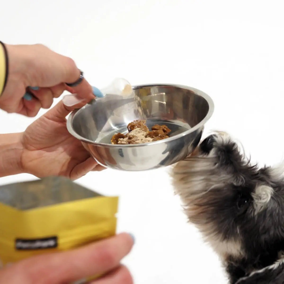 Petz Park Brain Support for Dogs