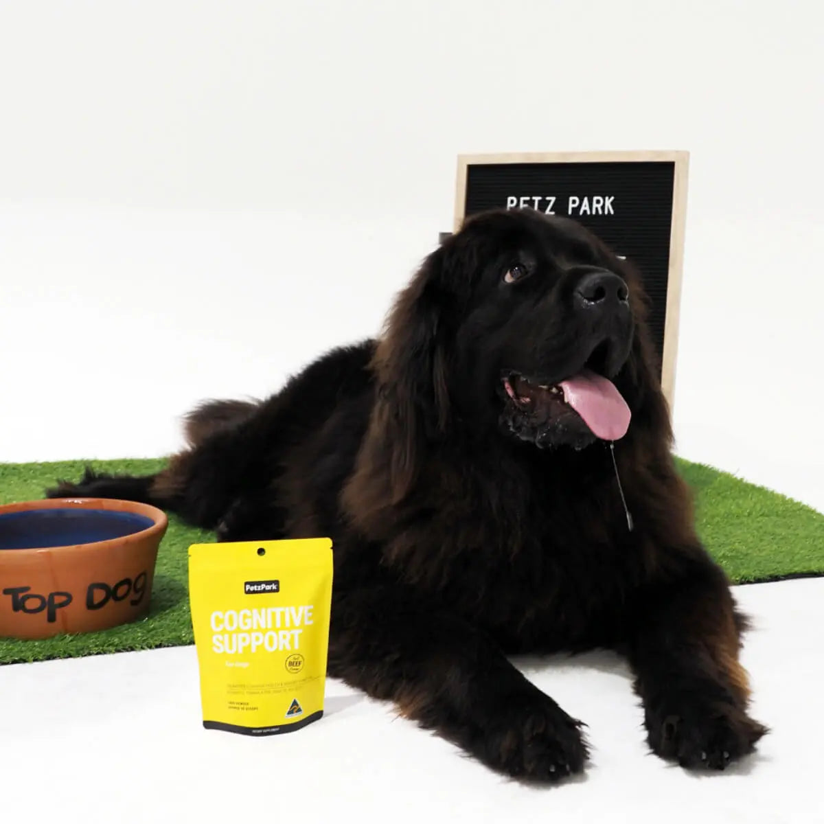 Petz Park Brain Support for Dogs