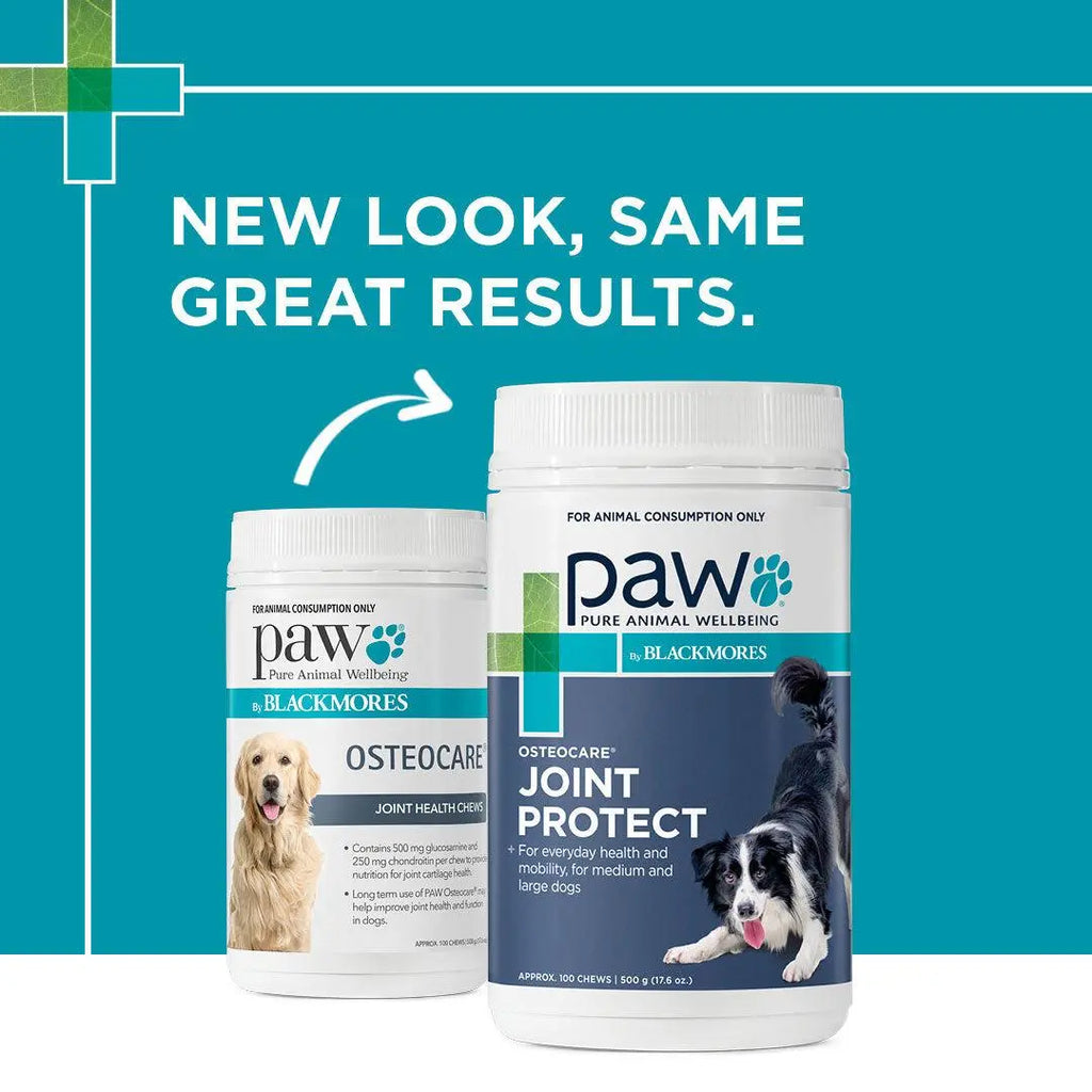 PAW by Blackmores Osteocare® Joint Protect for Dogs | Improves Joint Function & Mobility |100 Chews