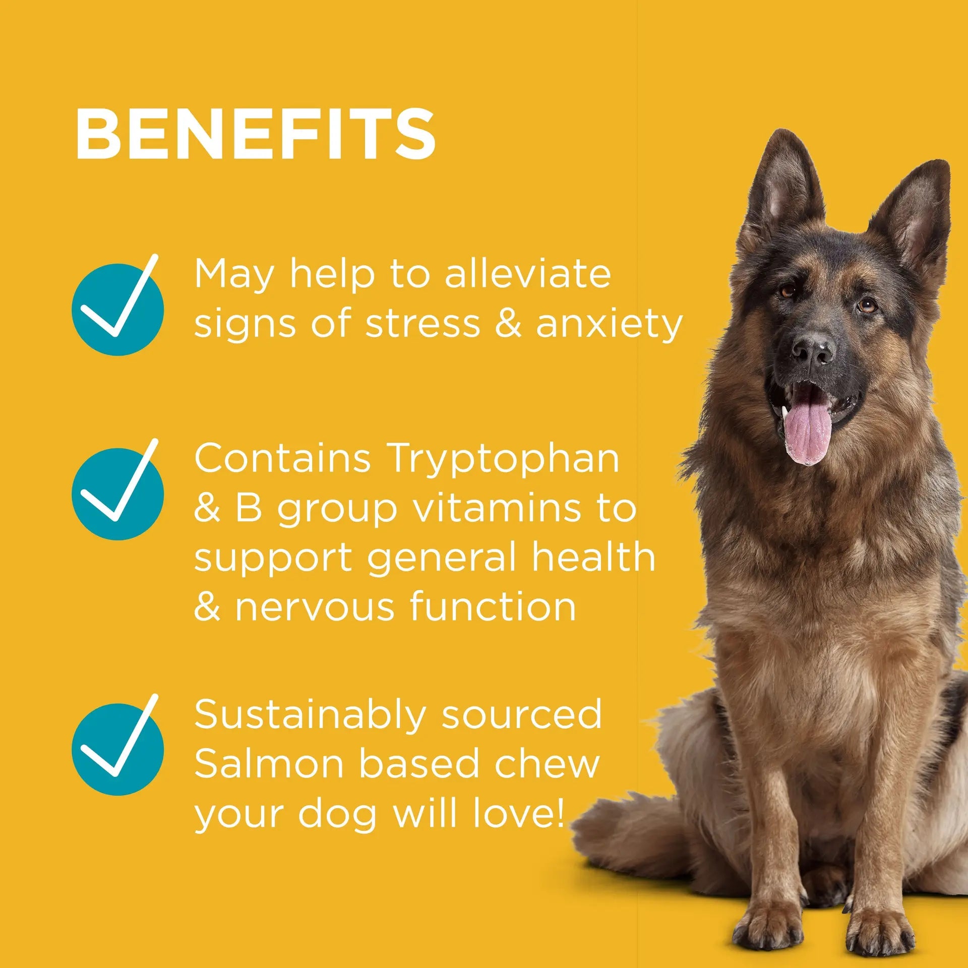 PAW by Blackmores Complete Calm Multivitamins for Dogs | Helps Alleviate Signs of Stress & Anxiety |60 Chews