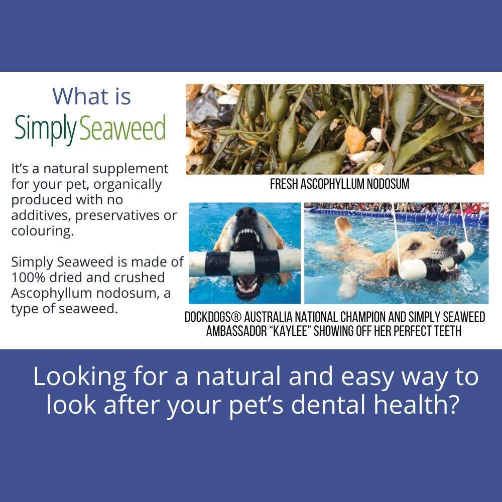 Simply Seaweed Natural Dental Supplement for Dogs and Cats