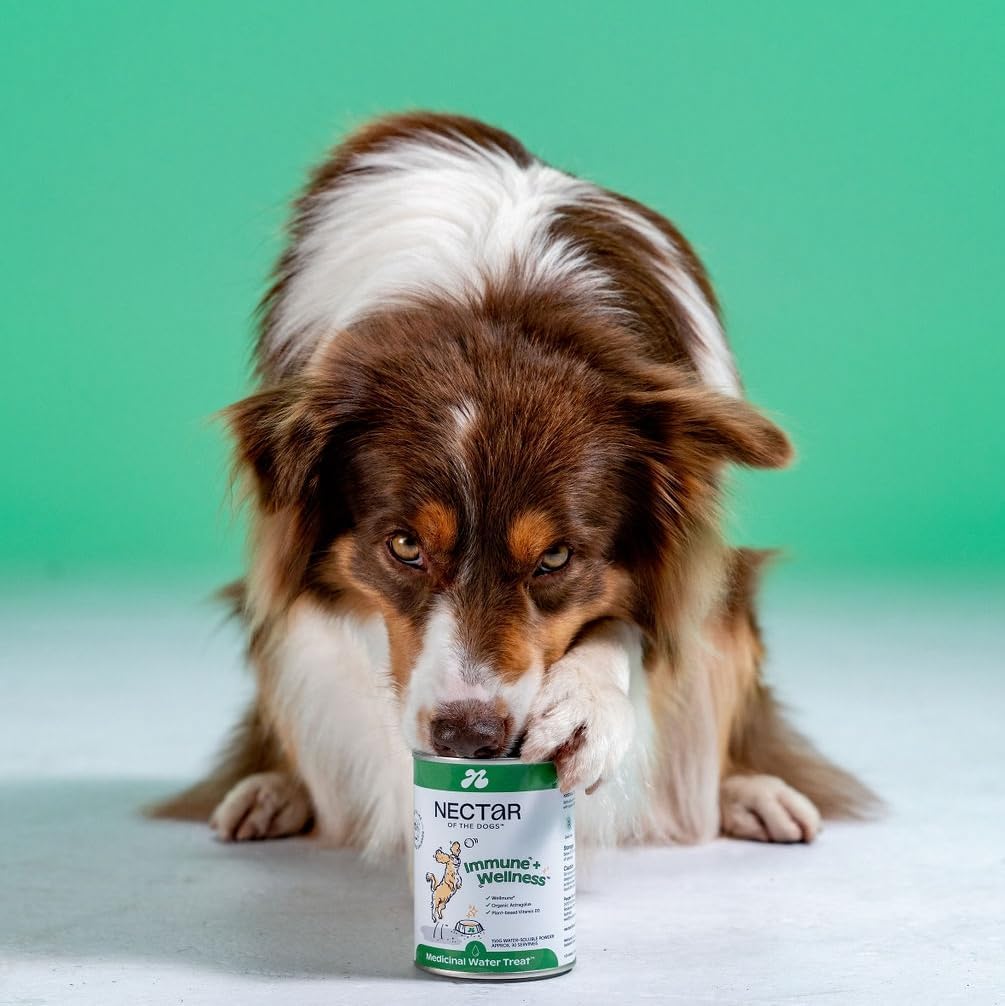 Nectar of the Dogs Immune + Wellness Water Soluble Supplement Powder 150 g