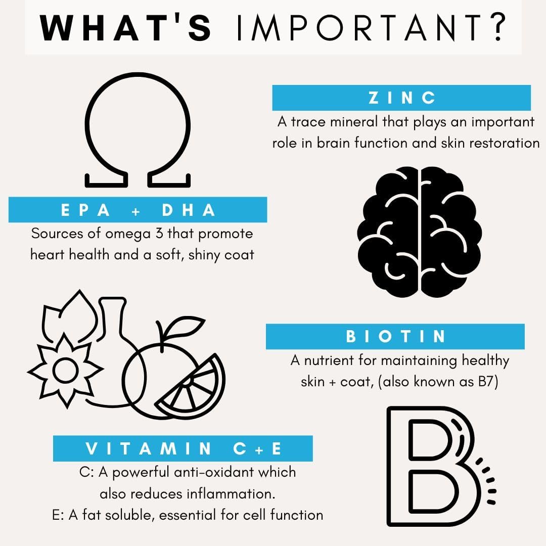 Petz Park Skin and Coat for Dogs - Omega 3 Supplement for Dog - Restores Skin, Reduces Shedding, Allergy & Immune Support - EPA DHA Dog - 180g Powder 90 Scoops - Made in Australia