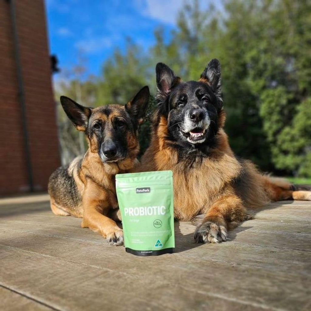 Petz Park Dog Probiotics Powder Grain Free - Paw Licking Yeast Infection Gas Bloating Diarrhoea Constipation Relief - Soothes Allergies Promotes Oral Health - for All Ages & Breeds - 90 Scoops 153g