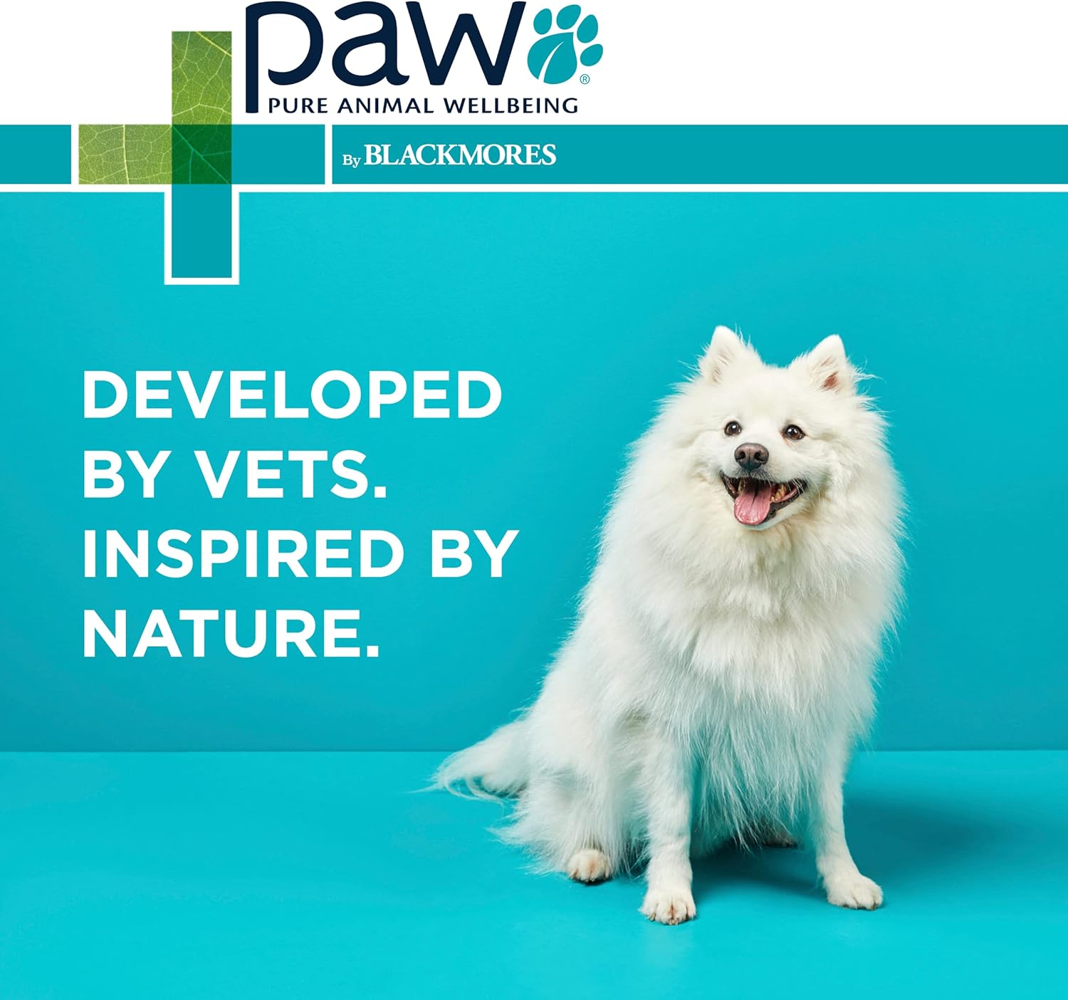PAW by Blackmores Manuka Wound Gel for Dogs, Cats and Horses | Medical Grade Wound Dressing