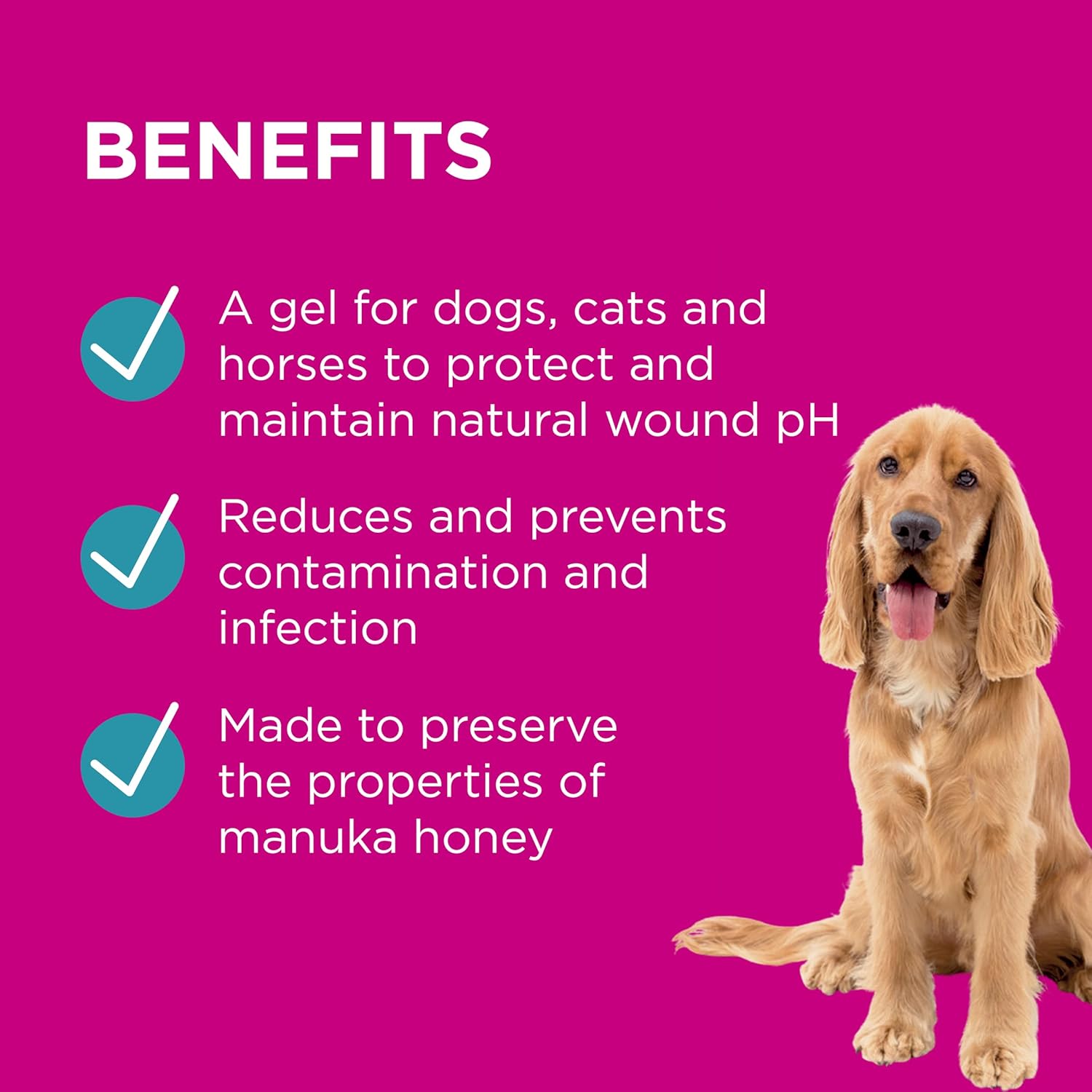 PAW by Blackmores Manuka Wound Gel for Dogs, Cats and Horses | Medical Grade Wound Dressing
