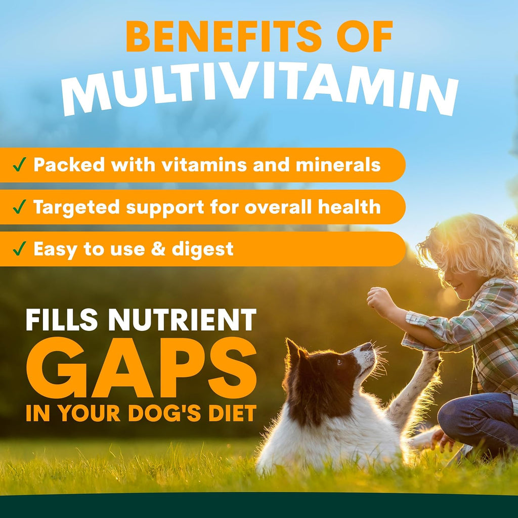 PetzPark Multivitamin for Dogs - 112g Powder