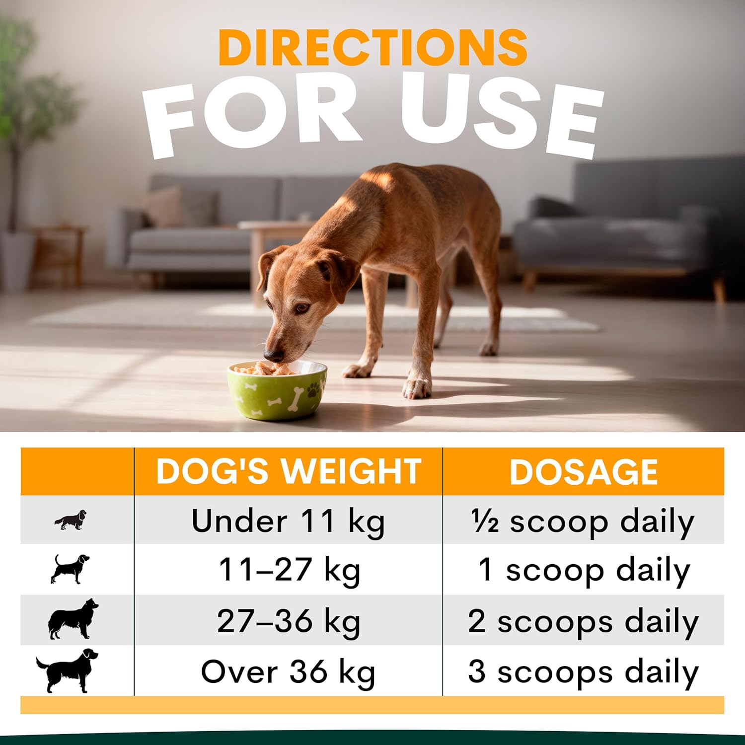 PetzPark Multivitamin for Dogs - 112g Powder