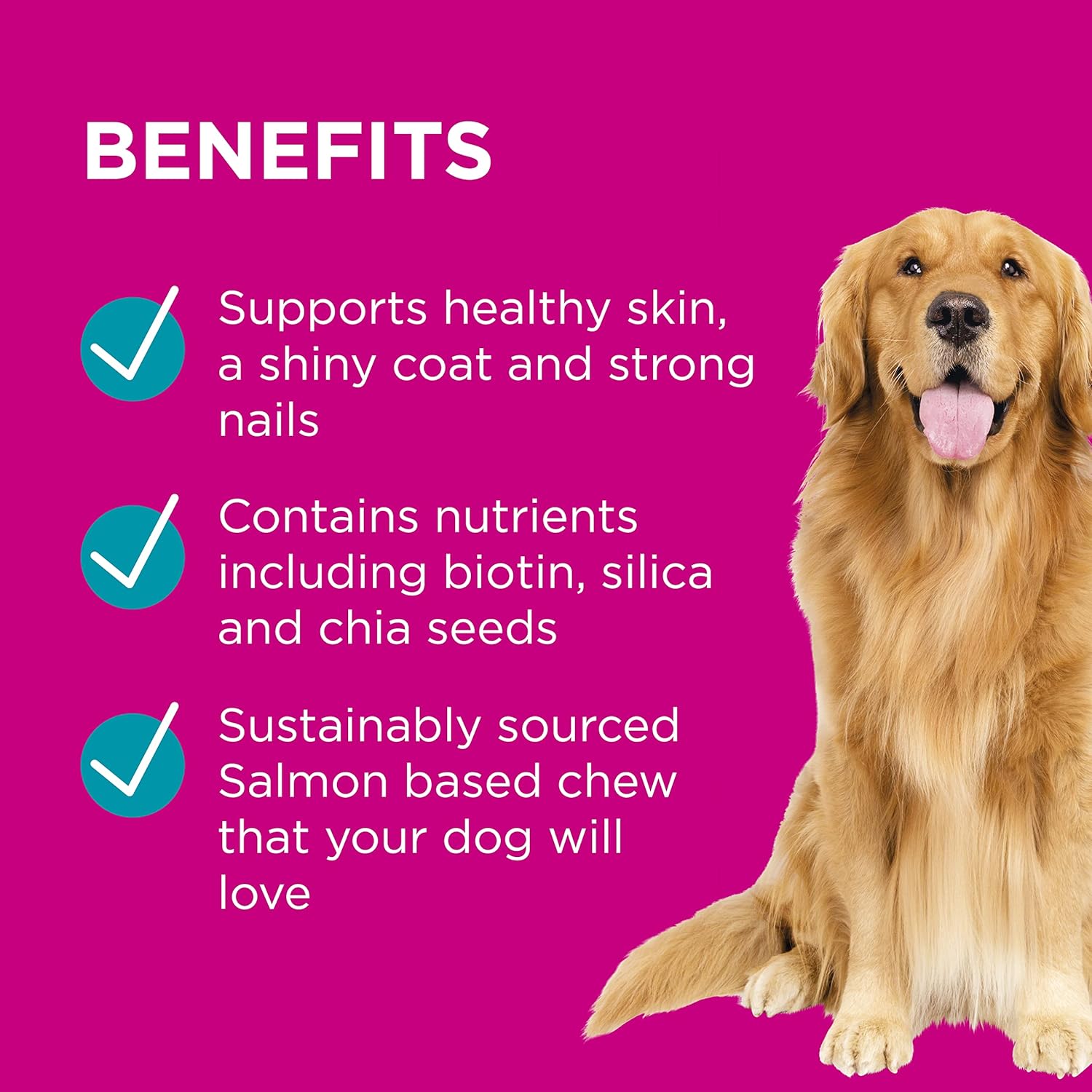 PAW by Blackmores Coat, Skin and Nails Multivitamins for Dogs | Supports Healthy Skin, Coat & Nails in Your Dog | 60 Chews