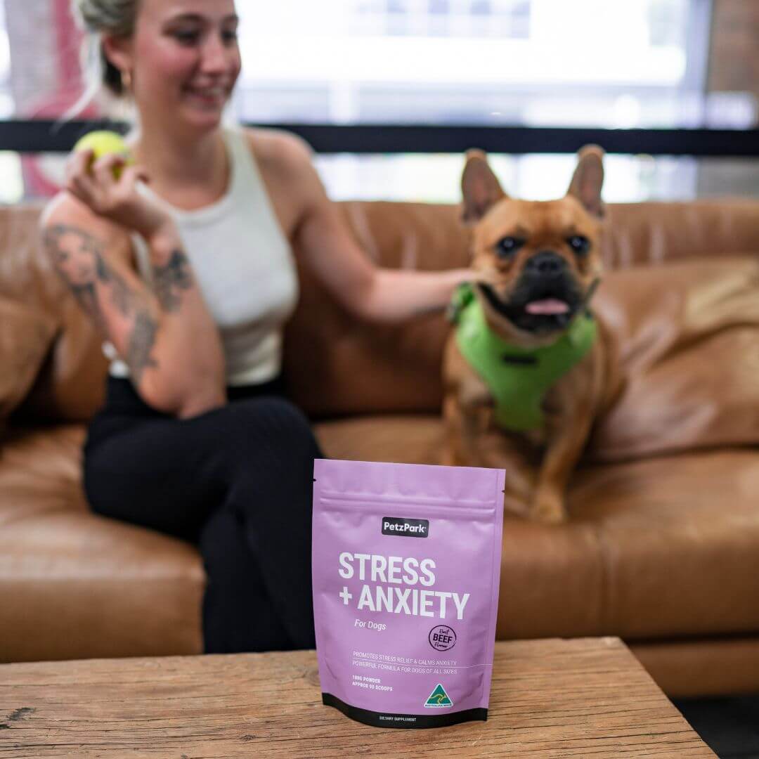 Petz Park Stress and Anxiety for Dogs - Dog Anxiety Supplement - Decreases Stress, Calms Fear & Anxiety, Eases Aggression + Insomnia, Relaxes Body and Mind - 180g Powder 90 Scoops