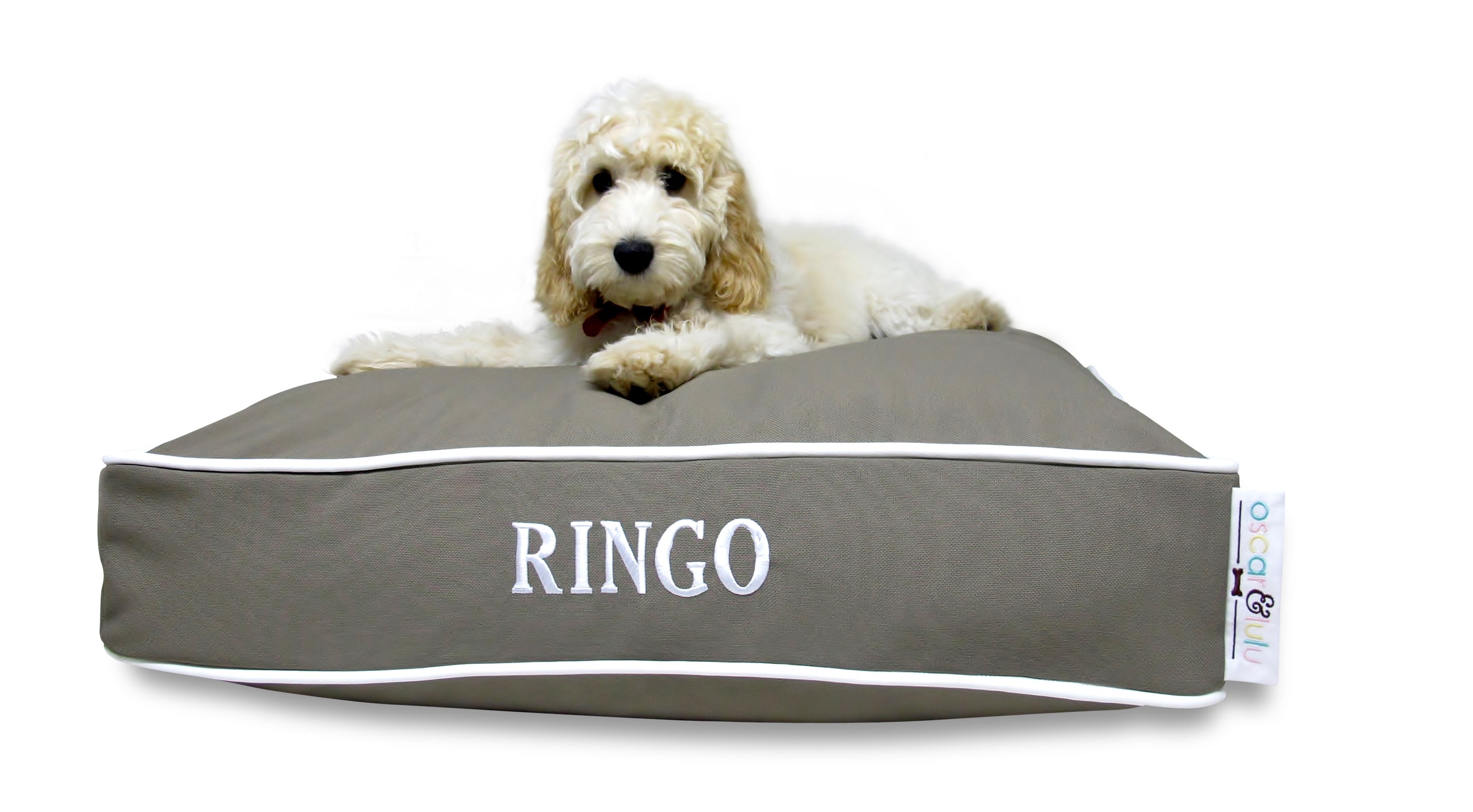 Bailey Designer Dog Bed – Indoor & Outdoor- (S, M,L)