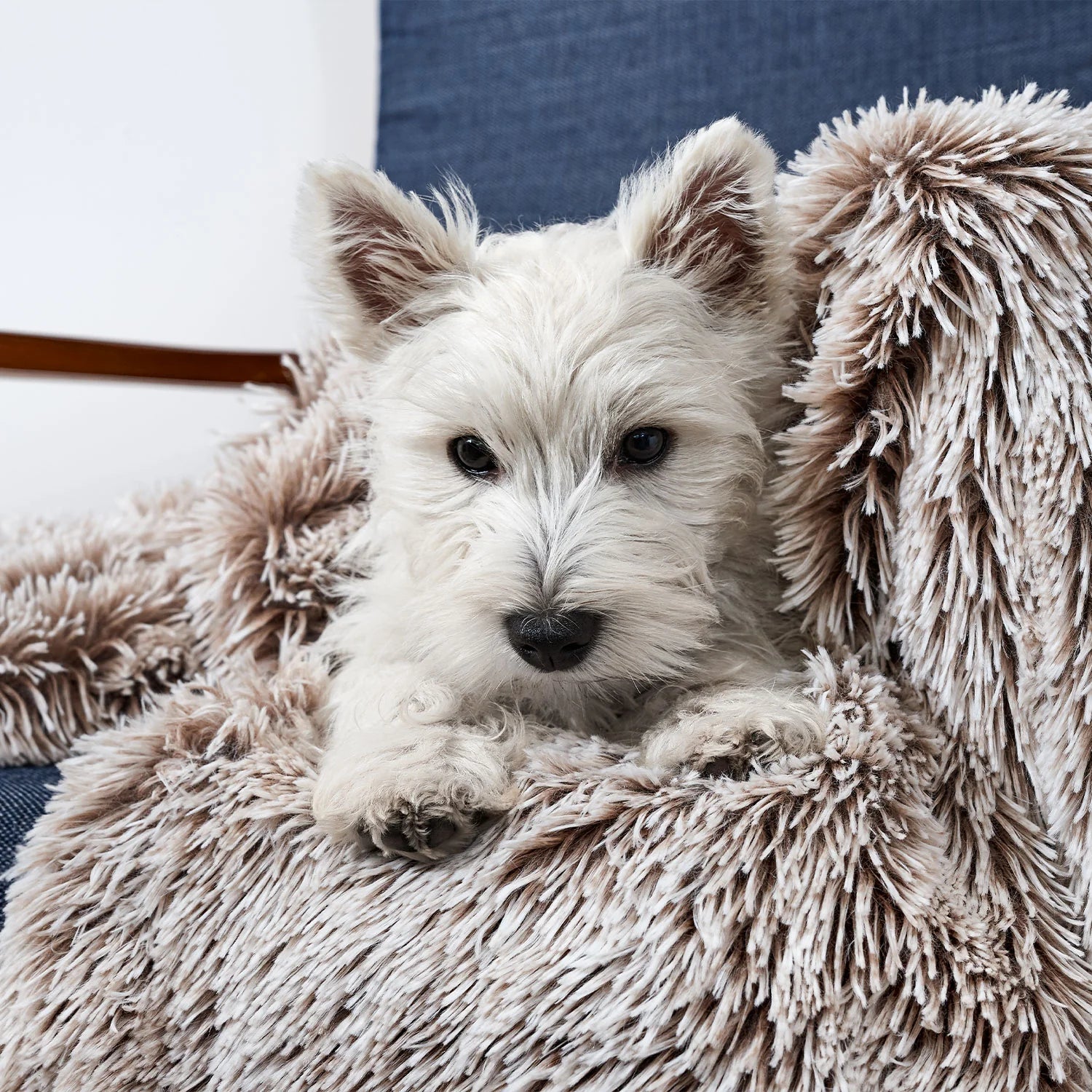 Snooza Calming Dog Blanket