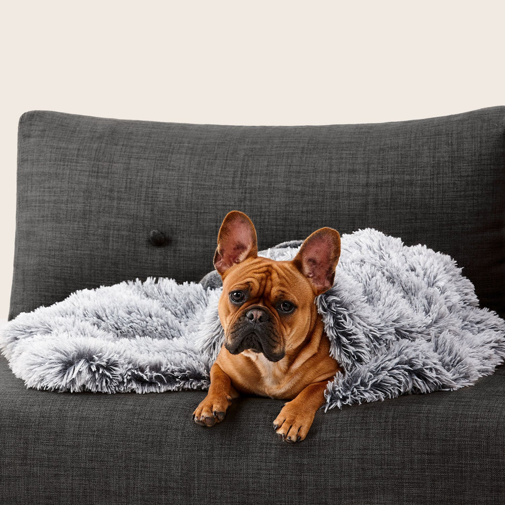 Snooza Calming Dog Blanket