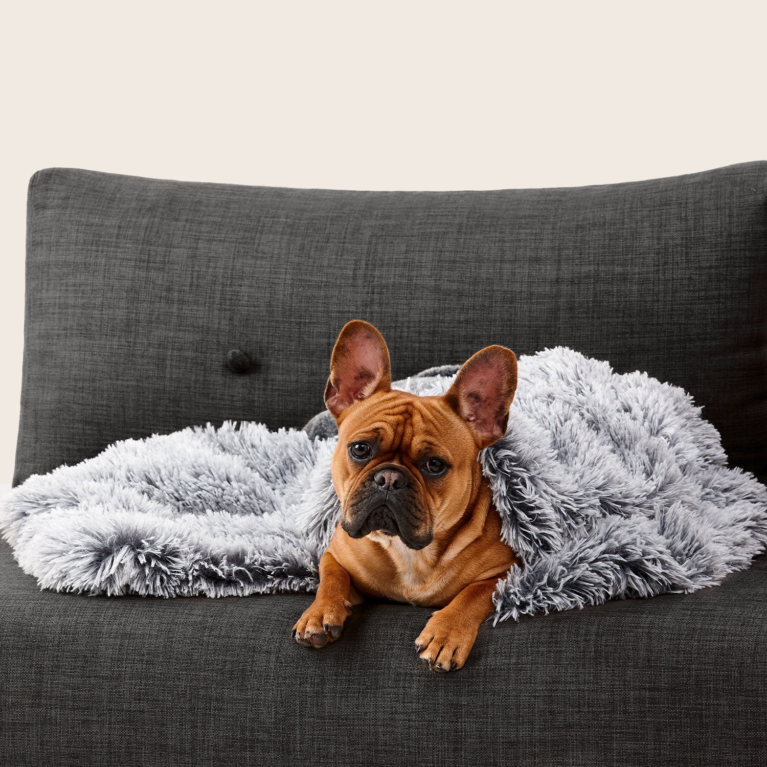 Snooza Calming Dog Blanket