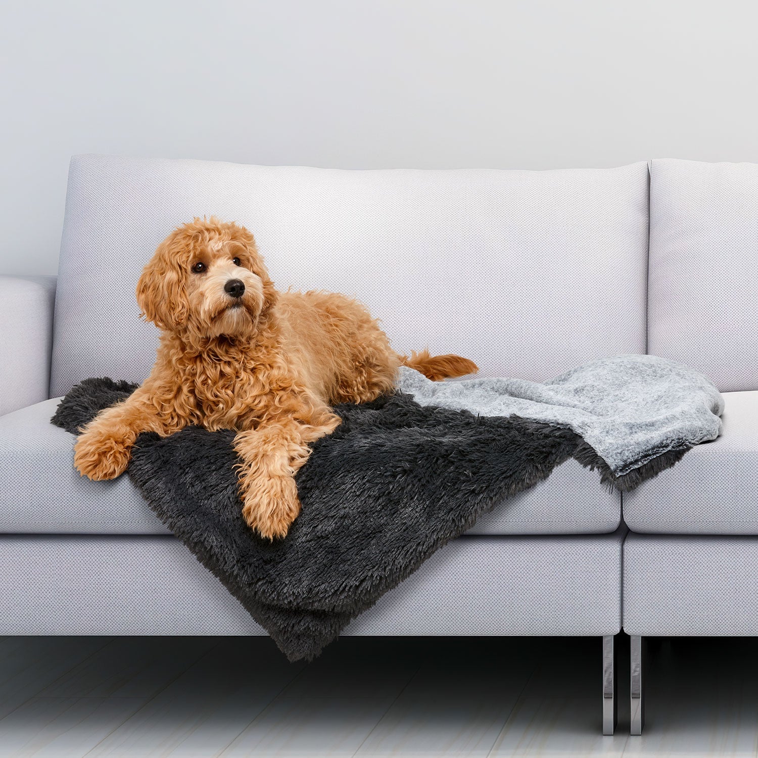 Calming Waterproof Blanket- Snooza