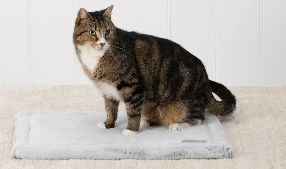Snooza Self Warming Cat Mat