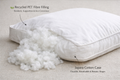 Recycled PET Dog Bed Inserts Custom Sizes – Made to Order