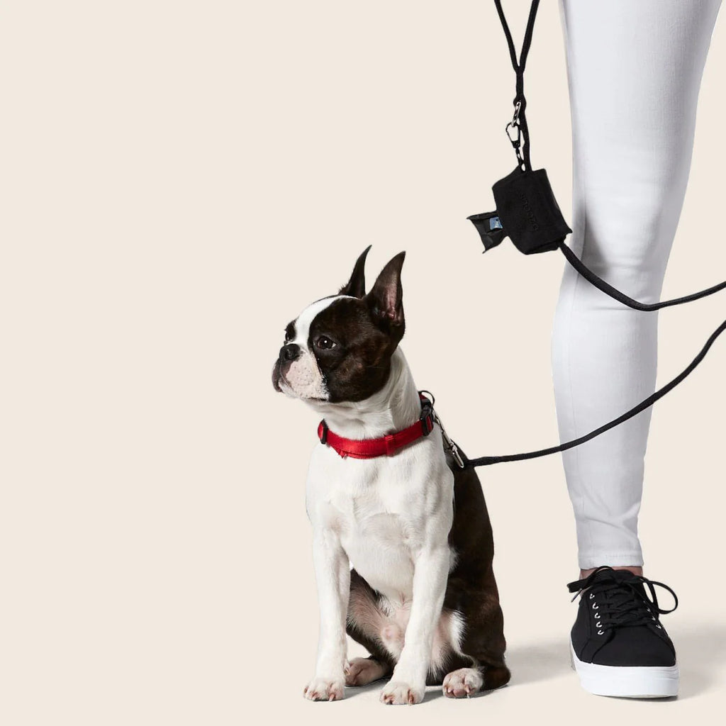 Doo Doo Good Eco Bag Dispenser- Snooza