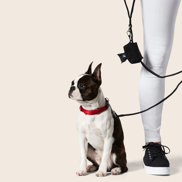 Doo Doo Good Eco Bag Dispenser- Snooza