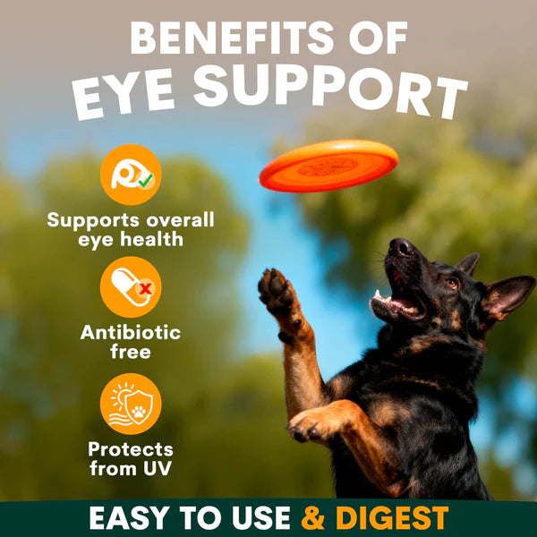Petzpark Eye Support for Dogs