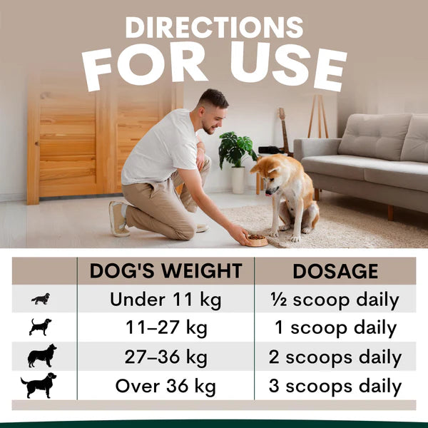 Petzpark Eye Support for Dogs