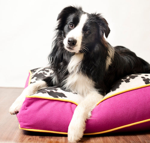 Frankie Designer Dog Bed – Faux Cowhide Luxury, Durable & Cozy – S, M, L