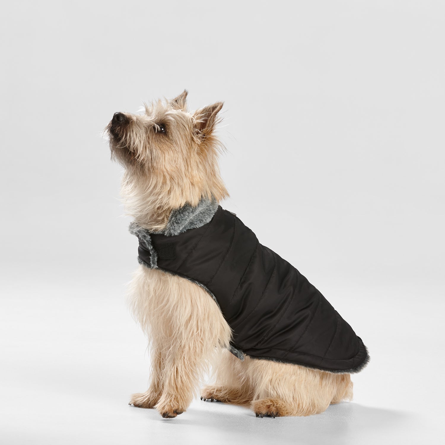 Snooza Wear Puffer Coat with Fur Collar in Black