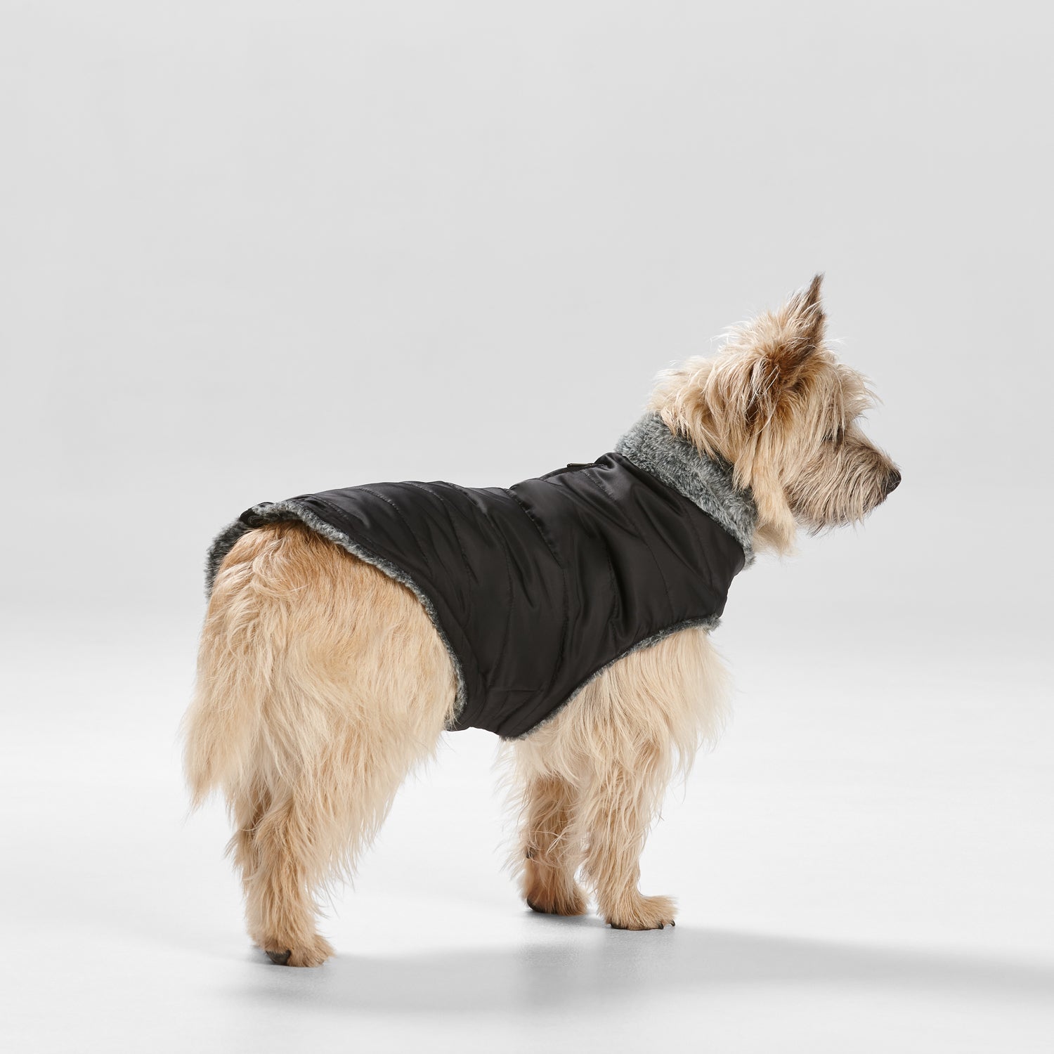 Snooza Wear Puffer Coat with Fur Collar in Black
