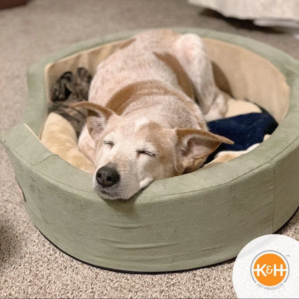 K&H Thermo Snuggler Low-Voltage Heated Pet Bed for Cats & Dogs in Sage Green