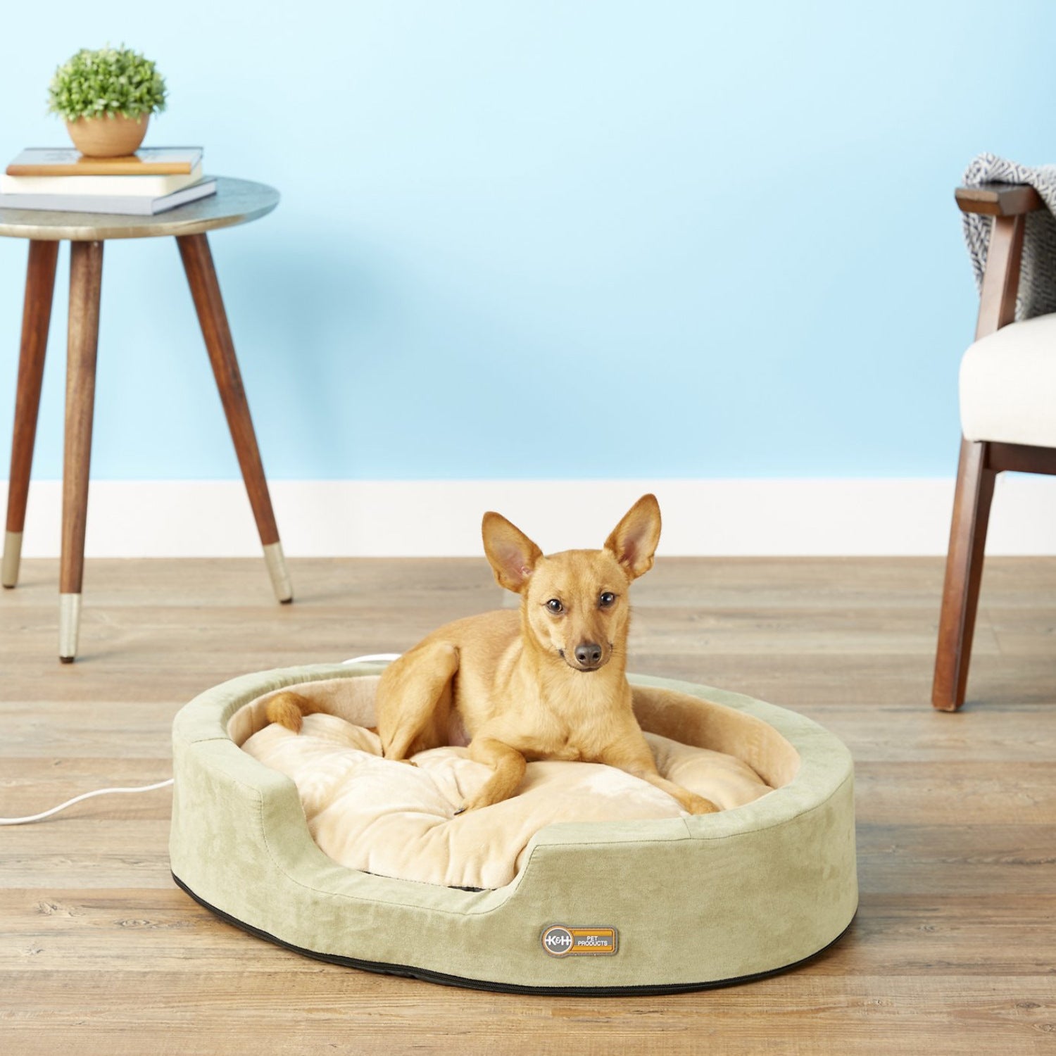 K&H Thermo Snuggler Low-Voltage Heated Pet Bed for Cats & Dogs in Sage Green