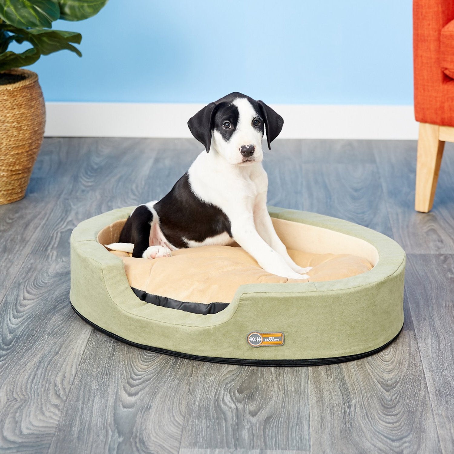 K&H Thermo Snuggler Low-Voltage Heated Pet Bed for Cats & Dogs in Sage Green