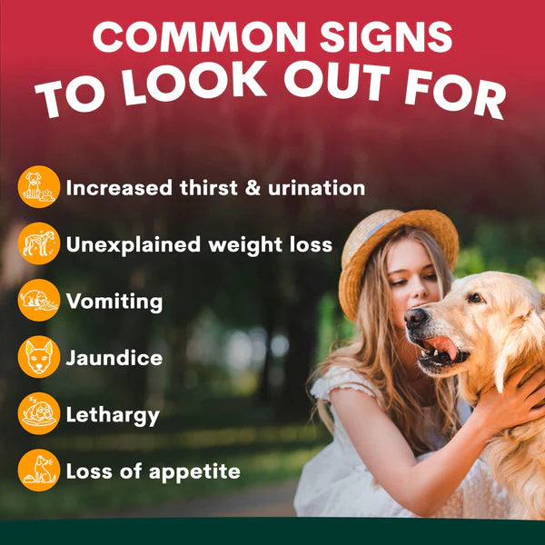 PetzPark Liver Support For Dogs
