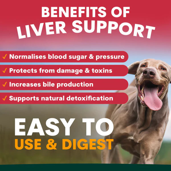 PetzPark Liver Support For Dogs