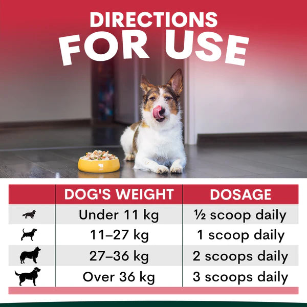 PetzPark Liver Support For Dogs
