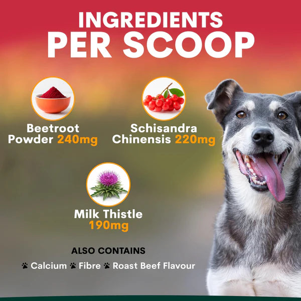 PetzPark Liver Support For Dogs