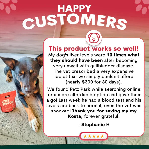 PetzPark Liver Support For Dogs