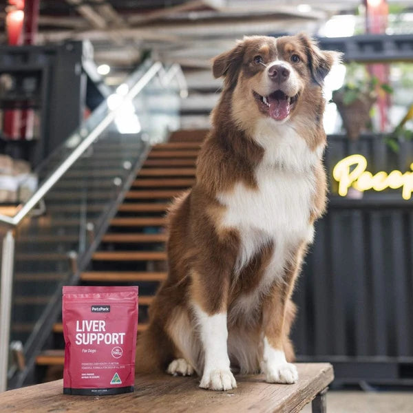 PetzPark Liver Support For Dogs