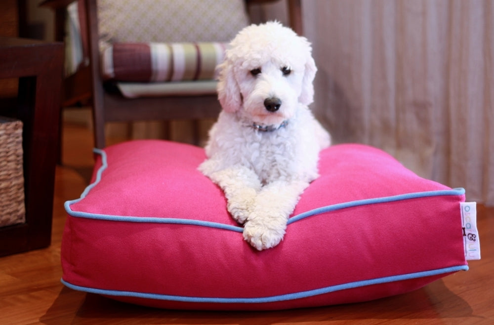 Lulu Designer Eco Dog Bed – Stylish, Sustainable & Durable – S, M, L