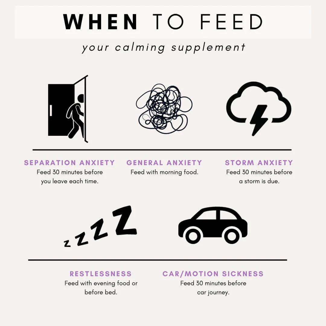 Petz Park Stress and Anxiety for Dogs - Dog Anxiety Supplement - Decreases Stress, Calms Fear & Anxiety, Eases Aggression + Insomnia, Relaxes Body and Mind - 180g Powder 90 Scoops