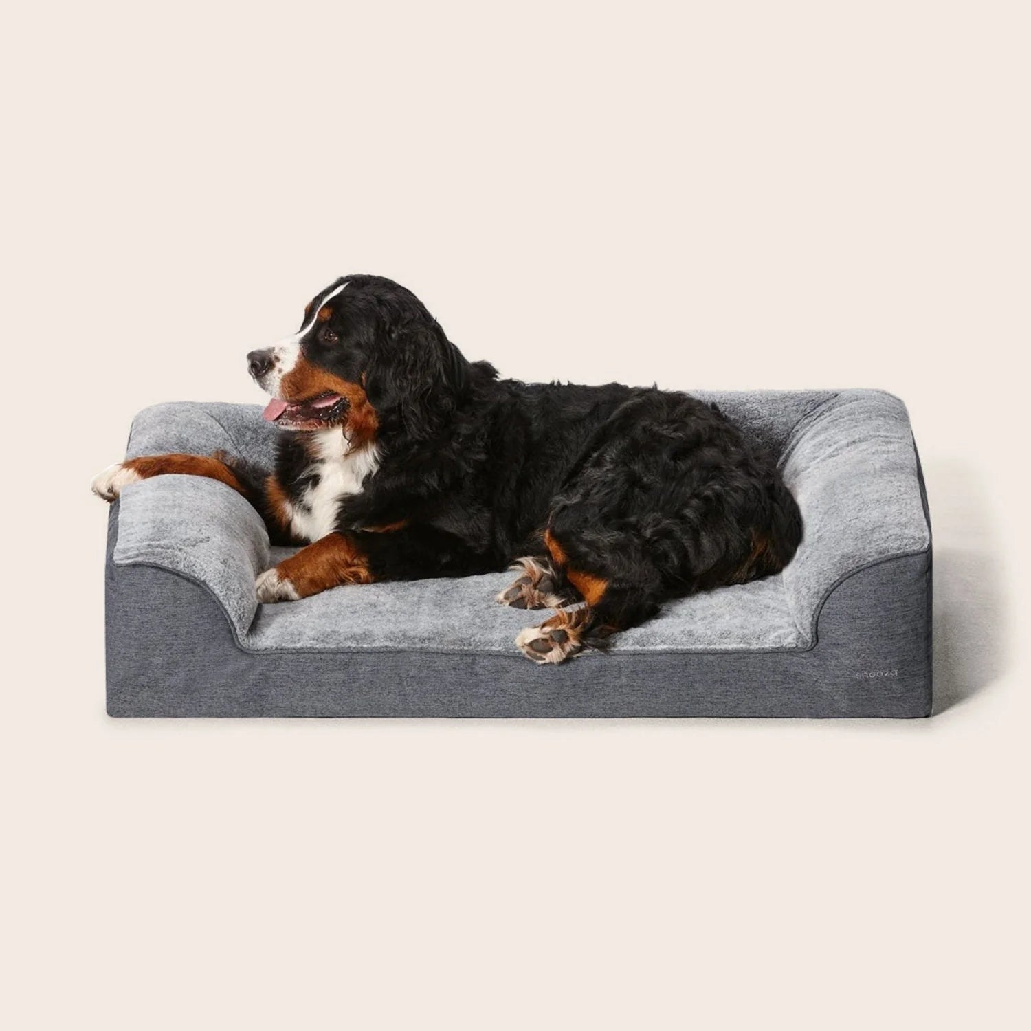 Ortho Dream Dog Bed– Chinchilla - Snooza