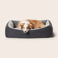 Ortho Snuggler Dog Bed, Chinchilla - Snooza