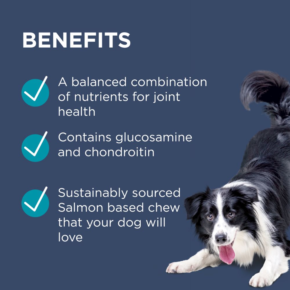 PAW by Blackmores Osteocare® Joint Protect for Dogs | Improves Joint Function & Mobility |100 Chews