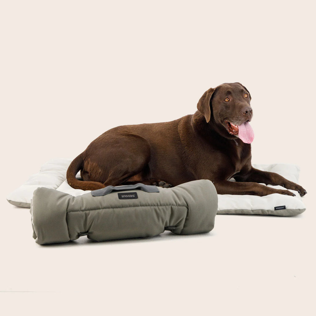 Roll & Go Outdoor Travel Mat-Olive- Snooza