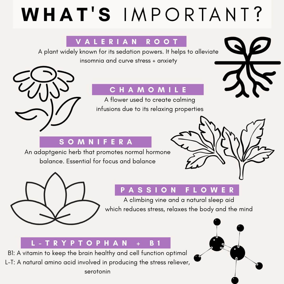 Petz Park Stress and Anxiety for Dogs - Dog Anxiety Supplement - Decreases Stress, Calms Fear & Anxiety, Eases Aggression + Insomnia, Relaxes Body and Mind - 180g Powder 90 Scoops