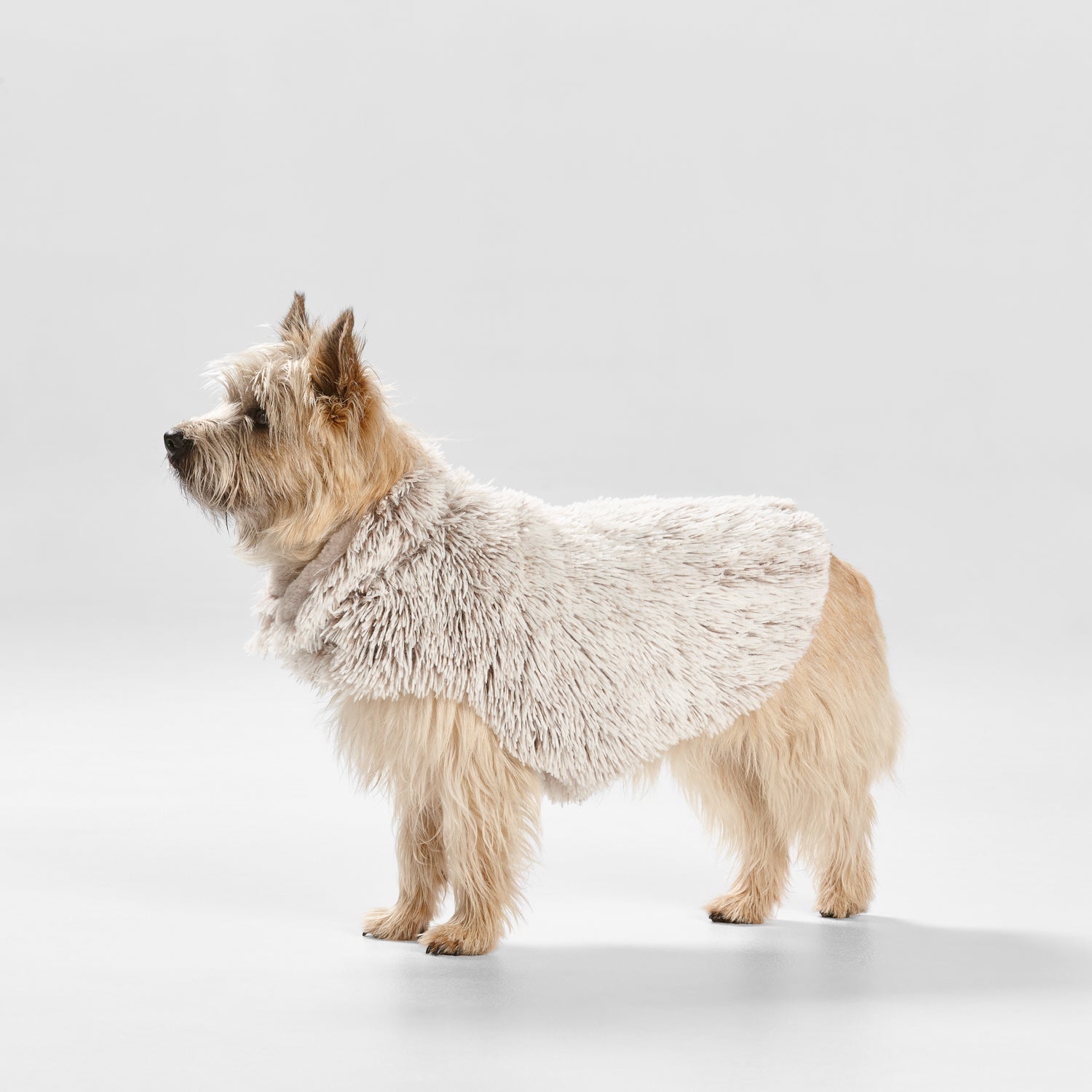 Snooza Wear – Shag Coat – Mink- Small