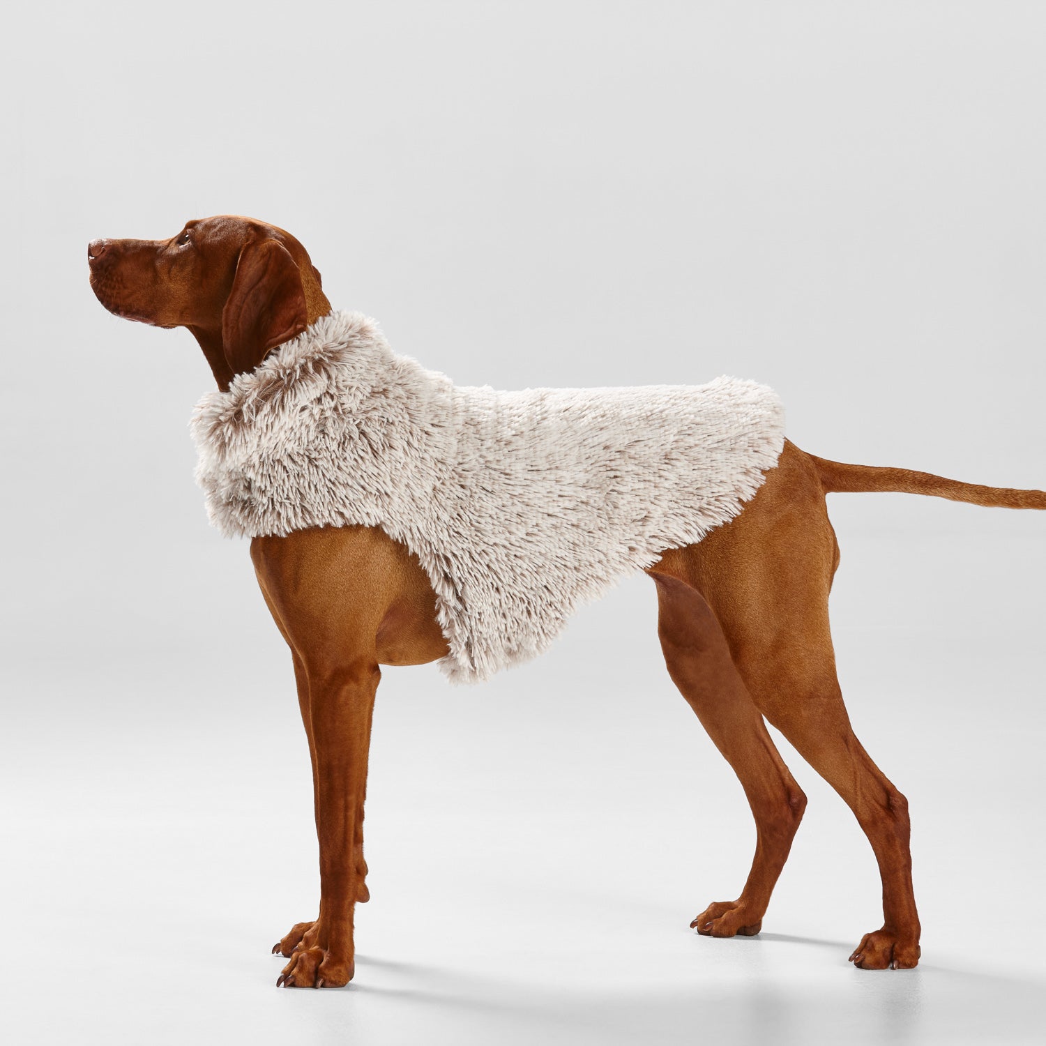 Snooza Wear – Shag Coat – Mink- Small