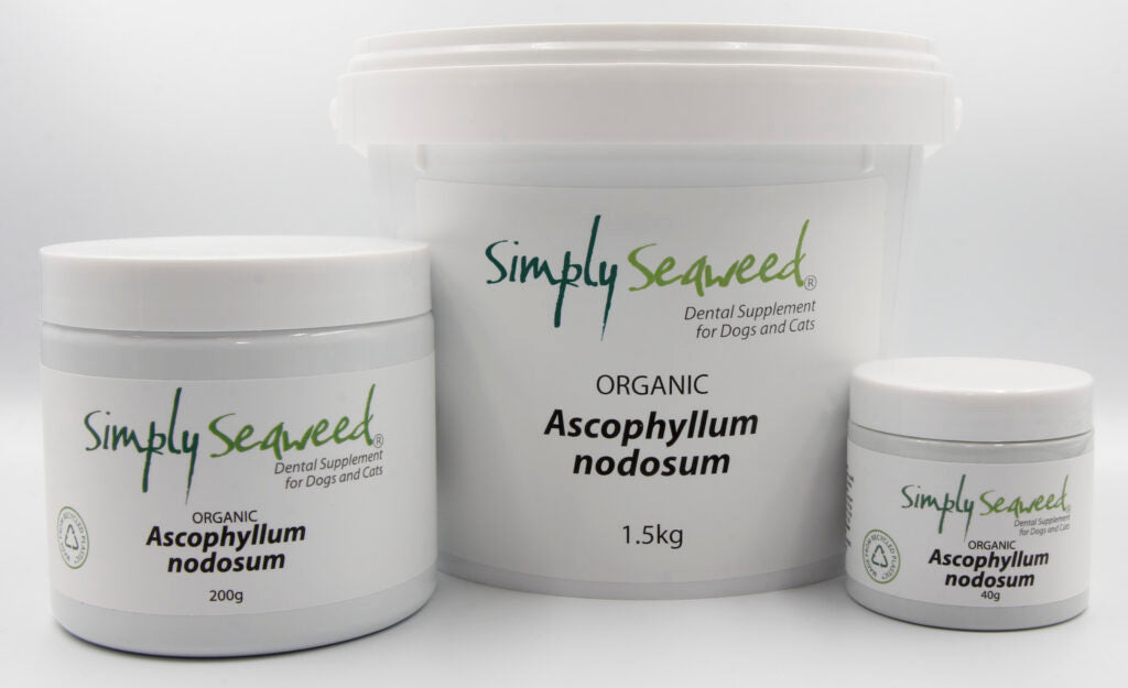 Simply Seaweed Natural Dental Supplement for Dogs and Cats